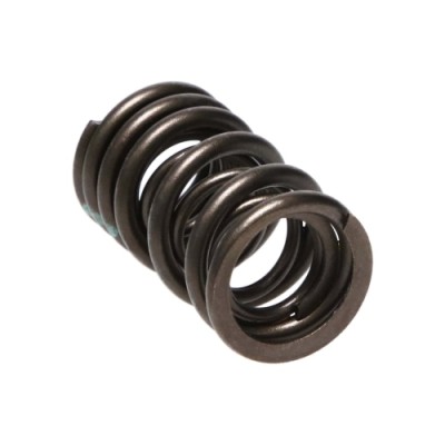 Manley Valve Spring...