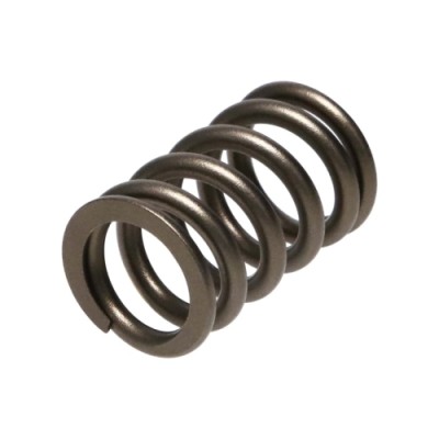 Manley Valve Spring...