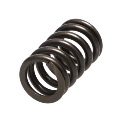 Manley Valve Spring HONDA...