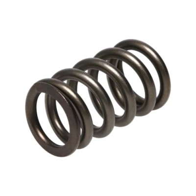 Manley Valve Spring DODGE...