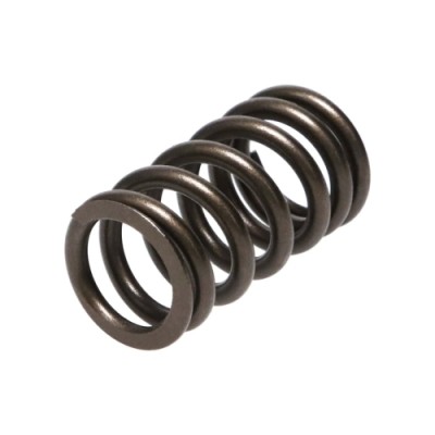 Manley Valve Spring...