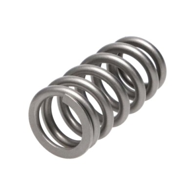 Manley Valve Spring...