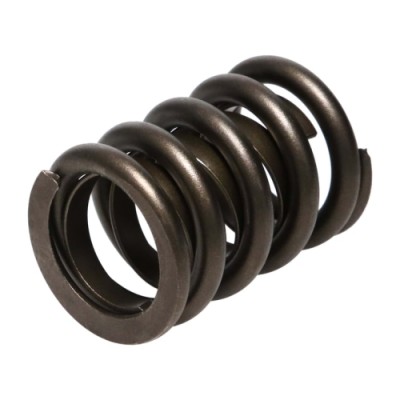 Manley Valve Spring 1.550...