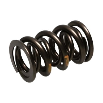 Manley Valve Spring Kit...
